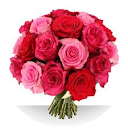 ouarab lydia profile picture